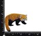 Red Panda, Realistic Animals, Embroidered, Iron on Patch